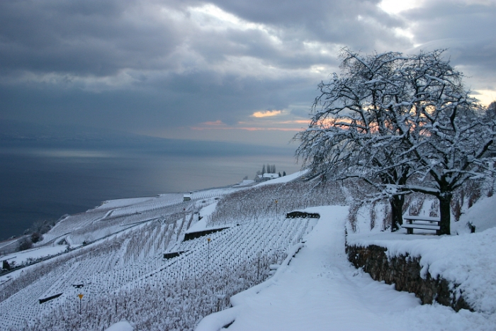 Neige sur la Riviera - 088